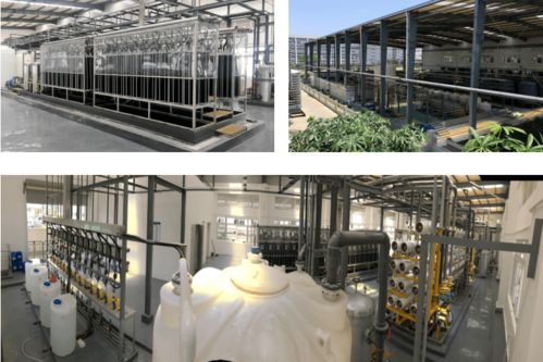 全國煤炭與煤化工環(huán)境治理及保護(hù)大會暨生物化工產(chǎn)品技術(shù)研發(fā)研討會預(yù)通知