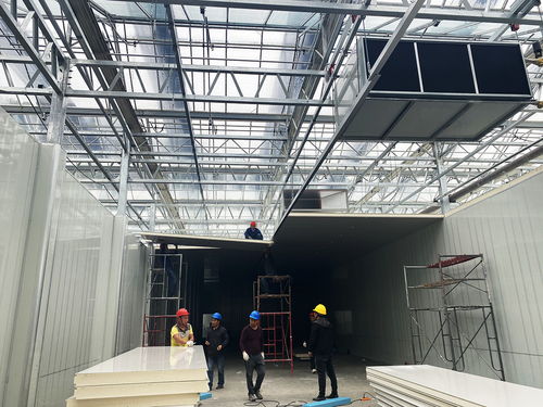 科技賦能農業新愿景 生物化工技術引領的草莓植物工廠，開啟全年“草莓自由”時代