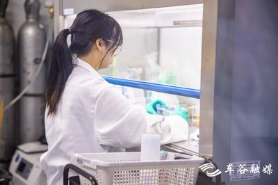 全省唯一！湖北普林檢測打造化妝品與生物化工產品“一站式”研發新標桿