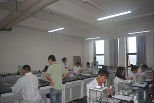 輕工化工系工業分析與檢驗技能大賽決賽圓滿落幕，展現生物化工產品技術研發新風采